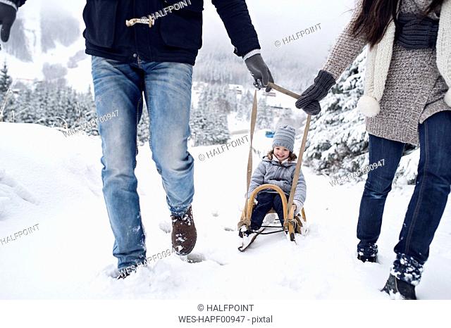 Family with sledge in winter landscape