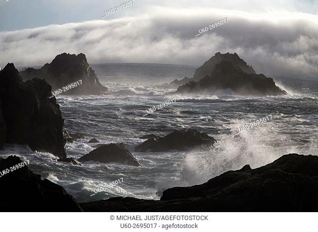 The rocky coastline at Point Lobos State Natural Reserve in Carmel, California
