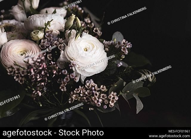 Studio shot of bouquet of white roses, buttercups (Ranunculus) and Cornish heath (Erica vagans)