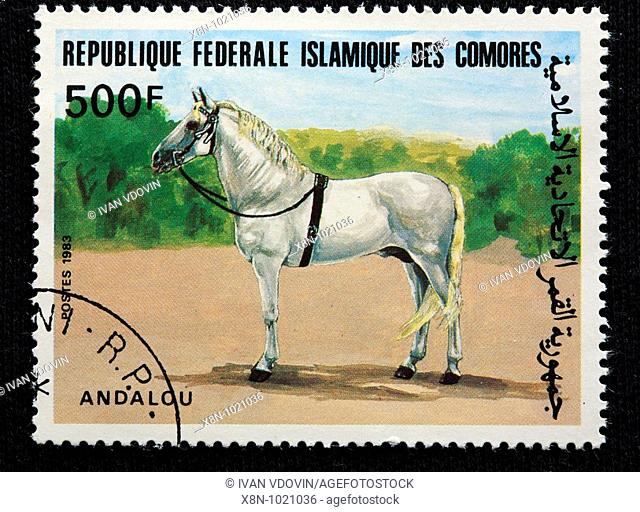 Andalusian horse, postage stamp, Comoros, 1983