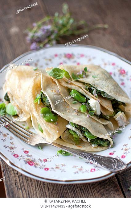 crepes with spinach, broad beans, goat cheese and herbs (basil and lemon thyme)