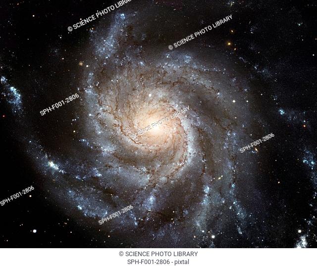 Spiral galaxy M101