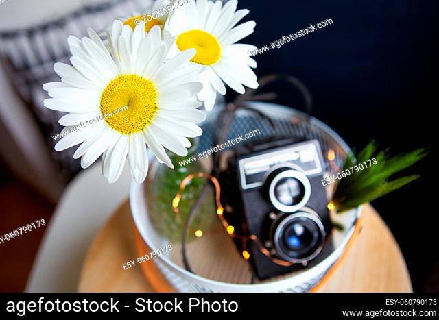 Old vintage rustic camera with a bouquet of daisy flowers on a wooden board. Close-up, bokeh