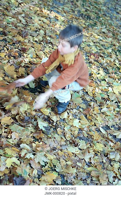 Little boy in the autumnal wood, forest, squatting on the ground