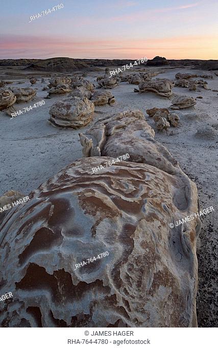 Eroded boulder at the Egg Factory, Bisti Wilderness, New Mexico, United States of America, North America