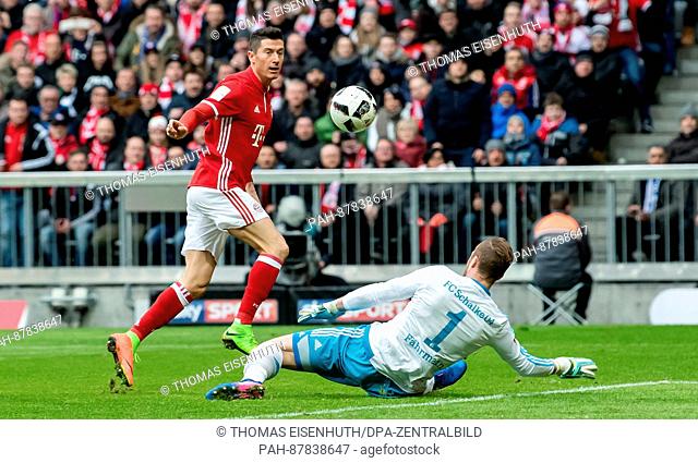 Munich's Robert Lewandowski (L) scores 1-0 against Schalke's goalkeeper Ralf Faehrmann during the German Bundesliga soccer match between FC Bayern Munich and FC...