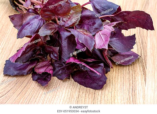 Fresh violet Basil leaves heap on the wood background