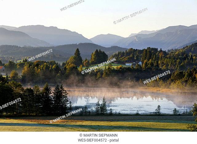 Germany, Bavaria, Upper Bavaria, Pfaffenwinkel, Wildsteig, Schwaigsee, dawn
