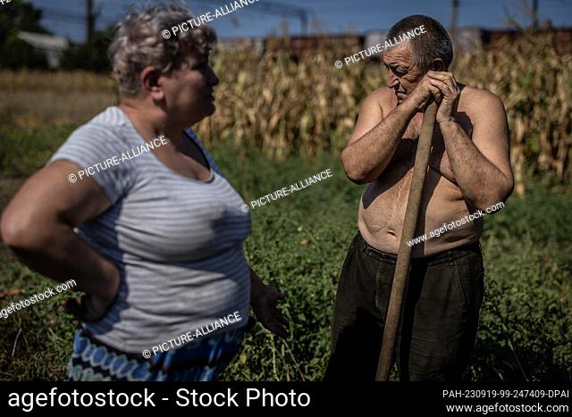 17 September 2023, Ukraine, Rostuschtsche: Switlana (61) and Wassyl (70) are harvesting their carrots in Rostushche near Zaporizhzhya on the edge of a railroad...