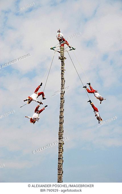 Voladores, flying dancers, flyers, Teotihuacan, Mexico, North America