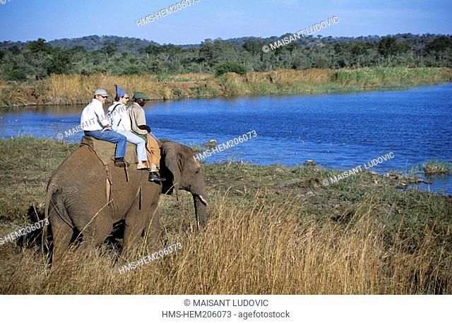 Zimbabwe, Matabeleland North Province, Victoria Falls, Elephant camp
