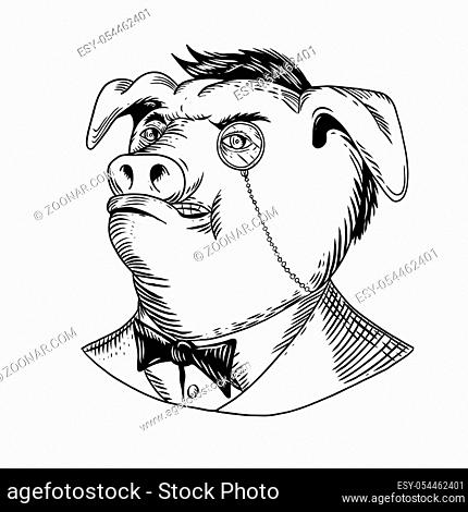 Drawing sketch style illustration of a noble aristocratic pig wearing a monocle and business suit with tie or tuxedo looking up on isolated white background in...