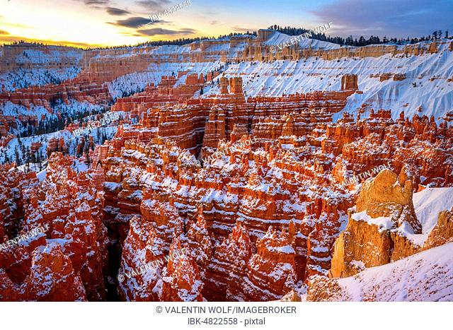 Amphitheatre at sunrise, snow-covered bizarre rocky landscape with Hoodoos in winter, Rim Trail, Bryce Canyon National Park, Utah, USA