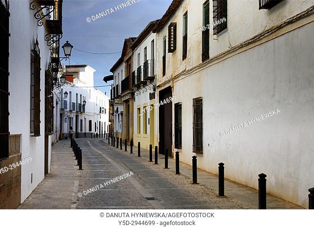 Calle de D. Jacinto Benavente, Villanueva de los Infantes, Ruta de Don Quijote, Ciudad Real, Castile-La Mancha, Spain, Europe