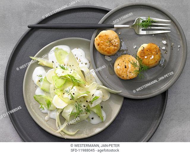 Scallops with fennel and onion