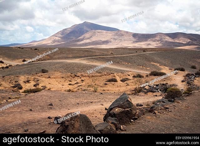 Volcanic landscape on the island of Lanzarote