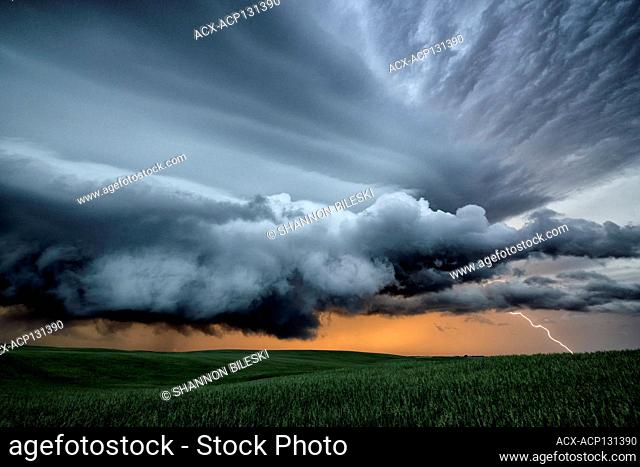 Tornado warned storm with lightning flashing over field in rural southern Saskatchewan Canada