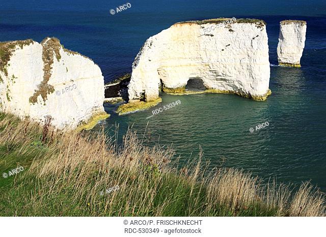 Old Harry Rocks, Swanage Bay, Chalk cliff coast, Bournemouth, Jurassic Coast World Heritage Site, Dorset, England