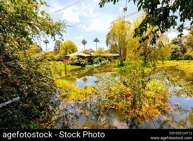Bogota Colombia April 8 Small lake with aquatic plants in the botanical garden of Bogota, located in the center of the city
