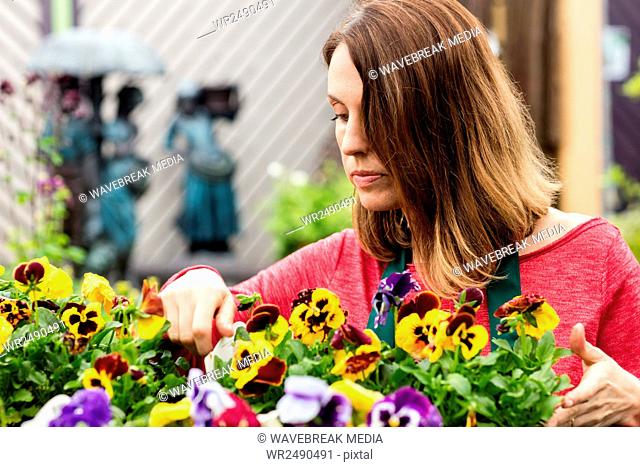 Female florist checking plants