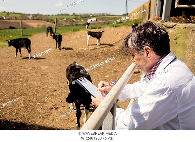 Vet writing in clipboard by fence