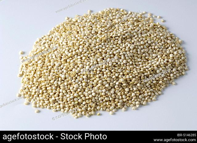 Quinoa (Chenopodium Quinoa)
