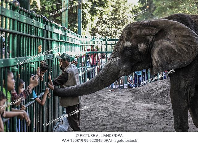 FILED - 12 August 2019, Egypt, Kairo: Children watch an elephant in a zoo on the second day of ""Eid al-Adha"". Wild African elephants from several countries in...