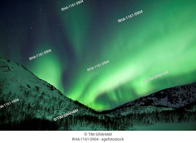 The Aurora Borealis, the spectacular Northern Lights fill the sky with dazzling green light above Kvaloya island at Tromso in the Arctic Circle in Northern...