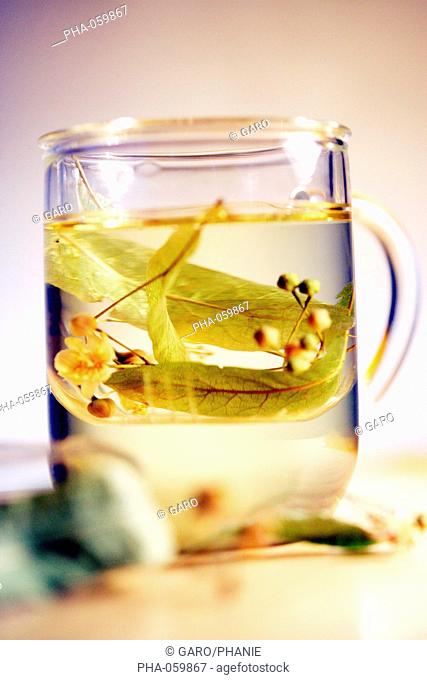 Linden herbal tea