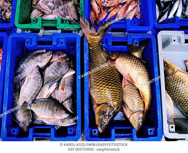 Fresh Fishes - photo was taken on the Market in Israel