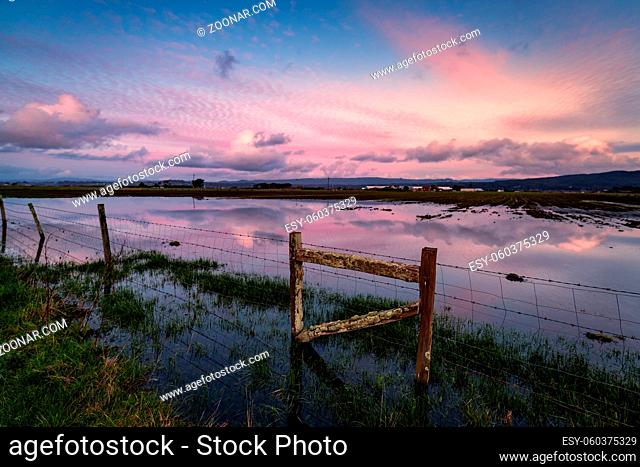 Color image of a fence in a flooded field at sunset. Humboldt County, California