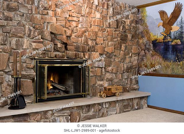 FIREPLACES: gas fireplace built with petrified wood, wildlife mural with eagle