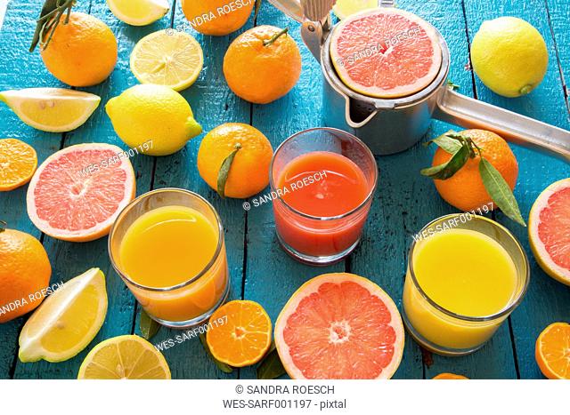 Glasses of orange juice, grapefruit juice and multivitamine juice, juice squeezer and fruits on wood