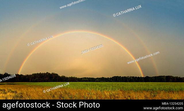 Panorama, Northern Germany, Mecklenburg, country road, field, complete rainbow and side rainbow, panorama