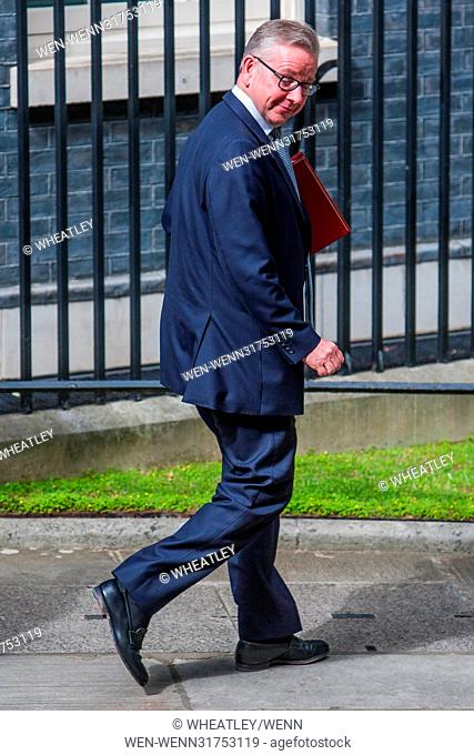 MP's leave 10 Downing Street after a Cabinet meeting Featuring: Michael Gove Where: London, England, United Kingdom When: 12 Jun 2017 Credit: Wheatley/WENN