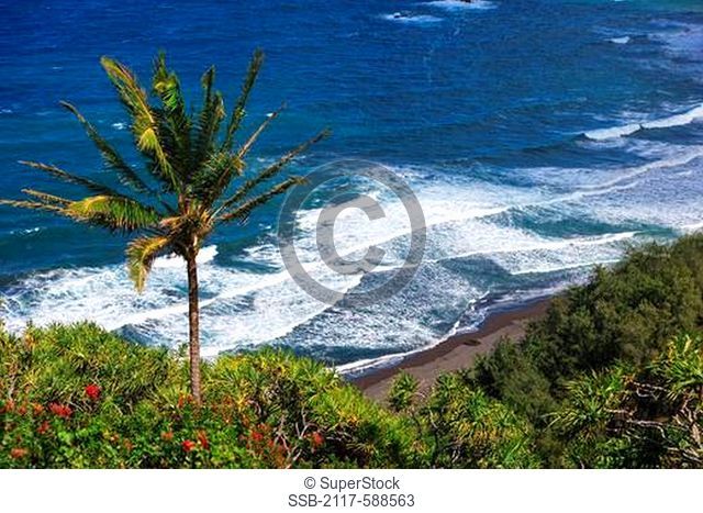 High angle view of a beach, Pololu Valley Lookout, Big Island, Hawaii, USA