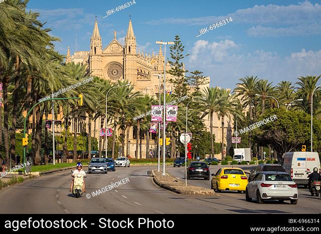 Palma waterfront lined with palm trees, Palma Cathedral in the back, La Seu, Palma, Majorca, Spain, Europe