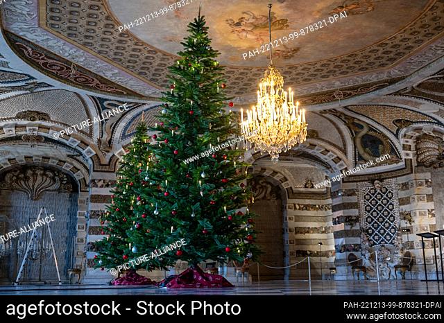 09 December 2022, Brandenburg, Potsdam: Two festively decorated Christmas trees stand in the Grotto Hall of the New Palace