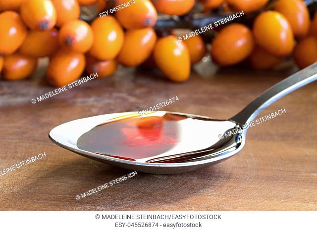 Sea buckthorn oil on a spoon with sea buckthorn branches in the background