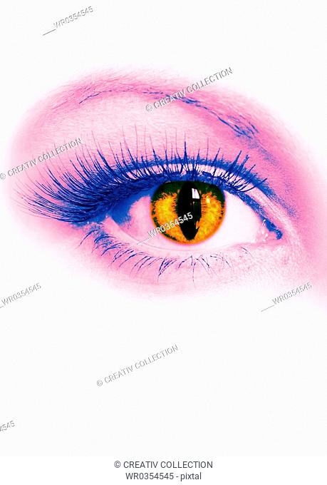 digitally edited lilac and blue eye with oval orange pupil