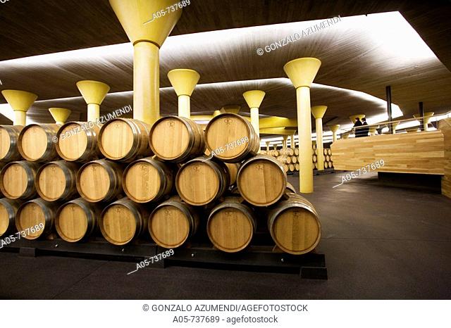 Dinastia Vivanco winery, Briones. La Rioja, Spain