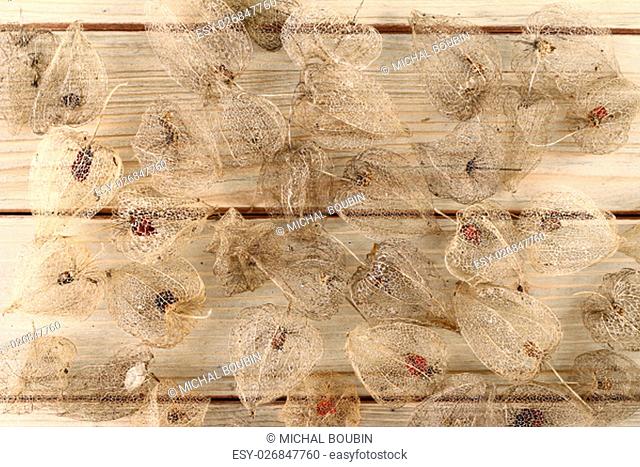 Detail of the dried fruits of Cape gooseberry on wooden board