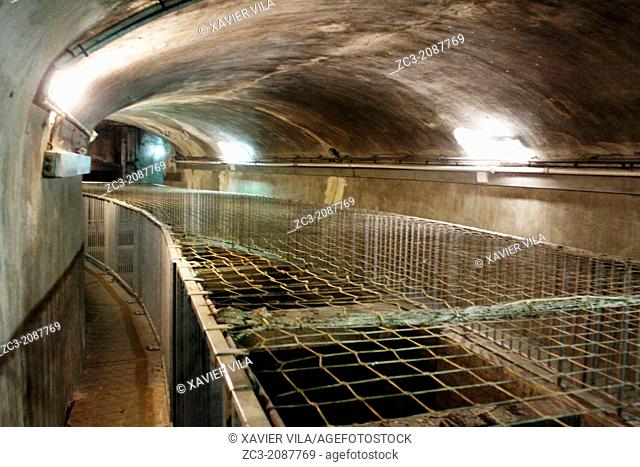 Sewers of Paris, Paris, France