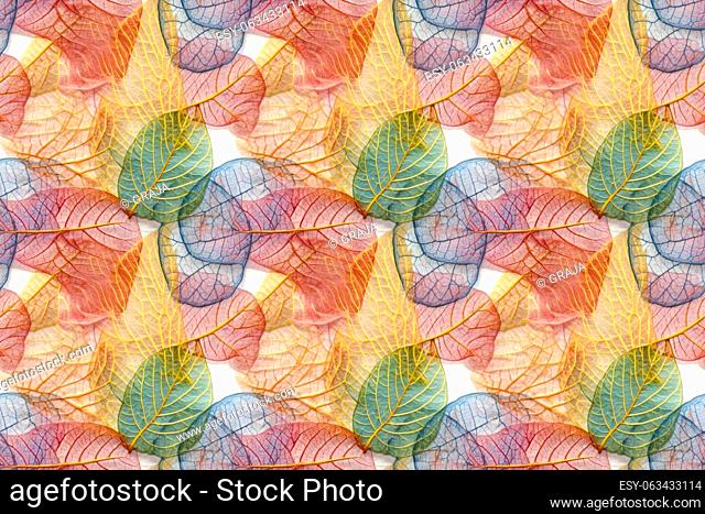 Background from colorful skeletonized leaves.Abstract illustration of seamless pattern with dry leaves. AI generated