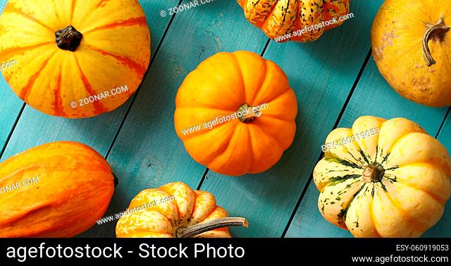 From above view of ripe orange pumpkins placed in rows on blue wooden background