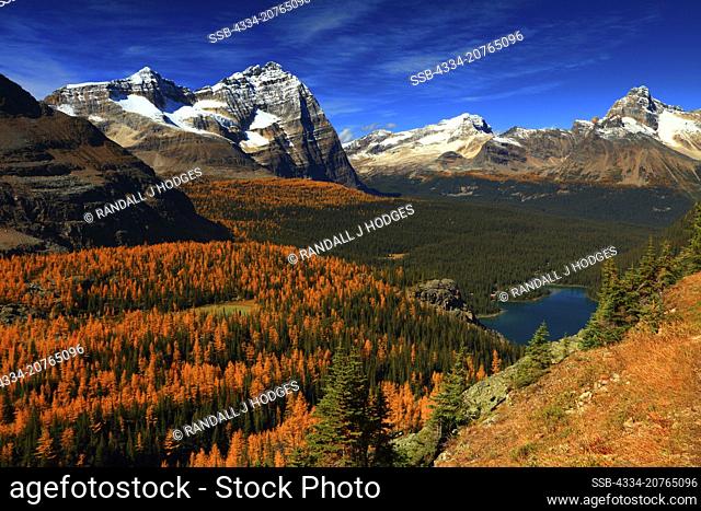 The View from the Shelves on the Alpine High Circuit Route Overlooking Opabin Plateau and Lake O'Hara in Yohoo National Park in British Columbia Canada