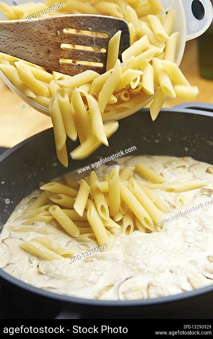 Penne pasta with a creamy porcini mushroom sauce