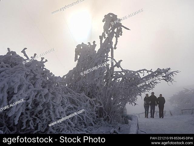 10 December 2022, Hessen, Schmitten: Frosted and snow-covered trees stand in icy temperatures on the summit plateau of the Großer Feldberg in the Taunus...