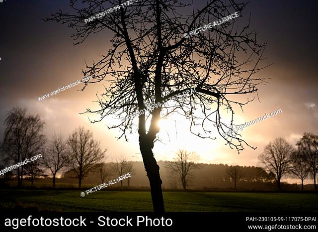 05 January 2023, Lower Saxony, Seevetal: Dark silhouettes of unleafed trees stand out against a cloudy sky with setting sun. Photo: Jonas Walzberg/dpa