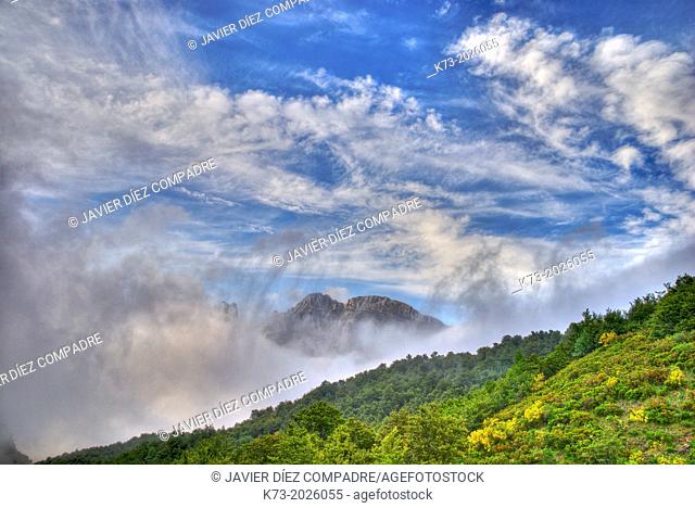 Valdeon Valley. Picos de Europa National Park. Leon Province. Castilla y Leon. Spain